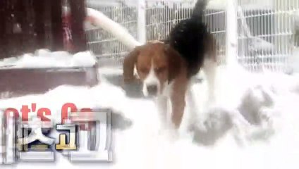 군포출장타이O7Os7575s0062｛카톡DDR88｝ぱ군포출장안@마ぱ군포출장샵ぱ군포출장맛사지 ぱ군포출장걸썰 군포출장걸가격 군포출장러시아 군포외국인후불출장업소 군포24시출장마사지샵'예약⊙◈