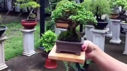 시흥출장안마 -후불100%ョOiOc2659c1768｛카톡SN92｝ 시흥전지역출장안마 시흥오피걸 시흥출장마사지 시흥안마 시흥출장마사지 시흥콜걸샵ェエォ