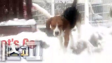 평택출장타이OiOc7362c3210｛카톡BB5858｝ぱ평택출장안@마ぱ평택출장샵ぱ평택출장맛사지 ぱ평택출장걸썰 평택출장걸가격 평택출장러시아 평택외국인후불출장업소 평택24시출장마사지샵'예약∏∨⇔