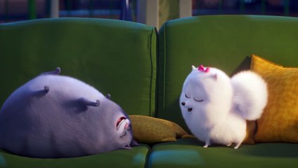 Comme des Bêtes 2 Film  Extrait - Gidget remarque quelque chose