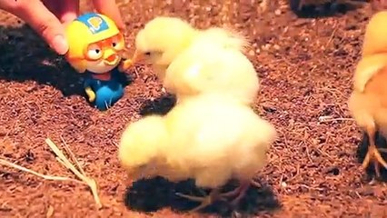 의창구출장안마 -후불100%ョOiOc7362c3210｛카톡BB5858｝ 의창구전지역출장안마 의창구오피걸 의창구출장마사지 의창구안마 의창구출장마사지 의창구콜걸샵▨¶