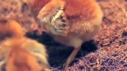 서귀포출장안마 -후불100%ョO7Os7333s9649｛카톡VV23} 서귀포전지역출장안마 서귀포오피걸 서귀포출장마사지 서귀포안마 서귀포출장마사지 서귀포콜걸샵≫√▼