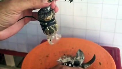 영양출장안마 -후불100%ョO7OW7301W9649｛카톡MOK66} 영양전지역출장안마 영양오피걸 영양출장마사지 영양안마 영양출장마사지 영양콜걸샵♪∀