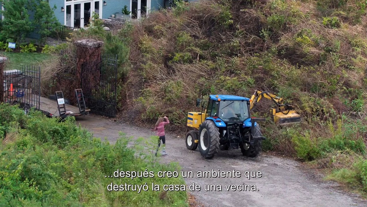 ¿Dónde estás Bernadette?