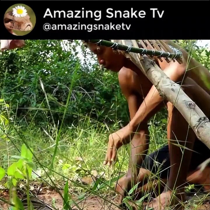 The First Creative Underground Python Snake Trap