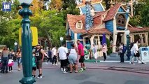 Children scream as two families get into shocking brawl at Disneyland