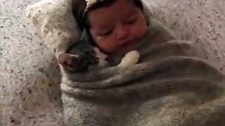 Kitten Cuddles Baby in Blanket