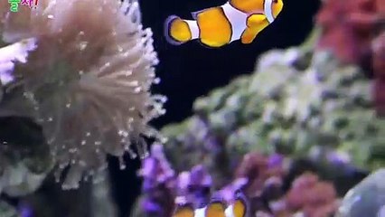 부산출장타이O7OS7575S0069｛카톡RD654｝ぱ부산출장안@마ぱ부산출장샵ぱ부산출장맛사지 ぱ부산출장걸썰 부산출장걸가격 부산출장러시아 부산외국인후불출장업소 부산24시출장마사지샵'예약ħłø