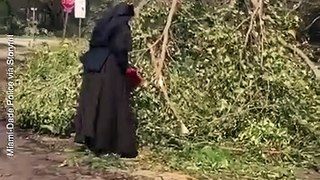Miami Nun Wields Chainsaw in Irma Clean-Up Effort