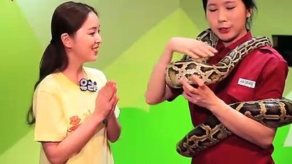 청도출장타이Ø7ØE7575E0048｛카톡XN94｝ぱ청도출장안@마ぱ청도출장샵ぱ청도출장맛사지 ぱ청도출장걸썰 청도출장걸가격 청도출장러시아 청도외국인후불출장업소 청도24시출장마사지샵'예약ЪЫЬ