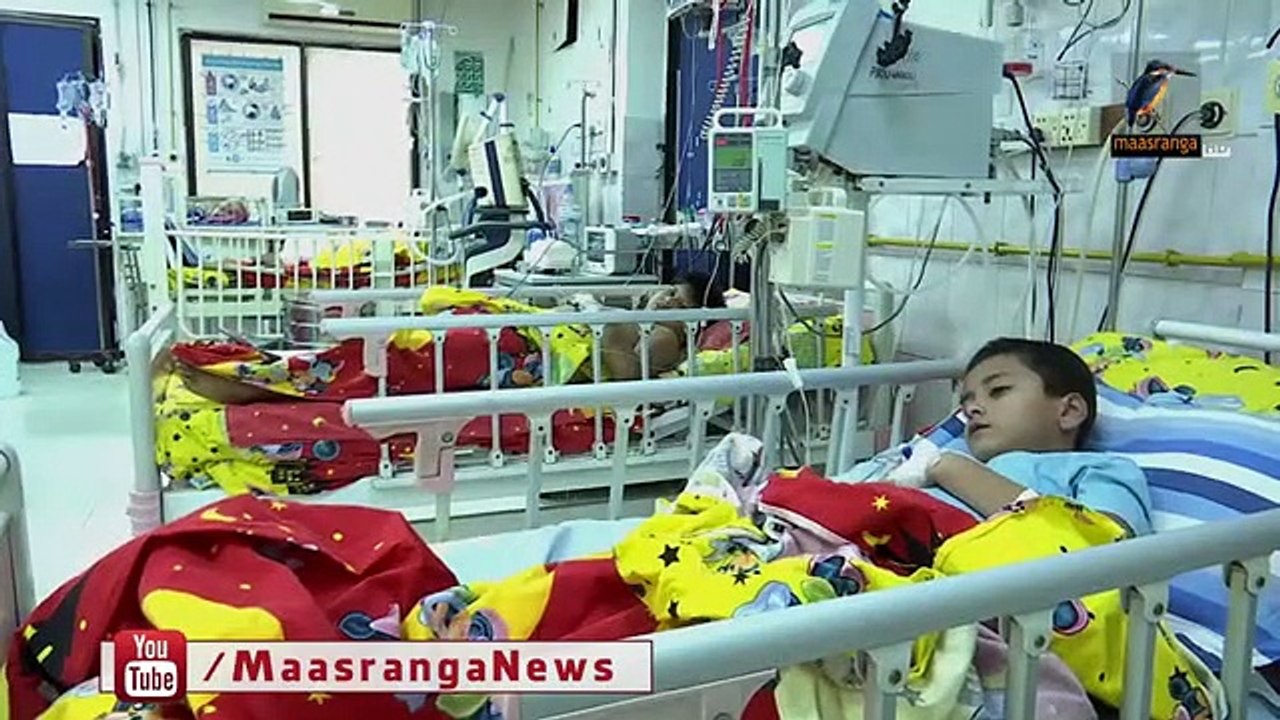 হাসপাতালে প্রতিদিনই বাড়ছে ডেঙ্গু রোগীর সংখ্যা