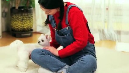 합천출장타이OiOe2997e5327｛카톡KC789｝ぱ합천출장안@마ぱ합천출장샵ぱ합천출장맛사지 ぱ합천출장걸썰 합천출장걸가격 합천출장러시아 합천외국인후불출장업소 합천24시출장마사지샵'예약≪≫√