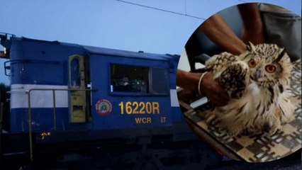 उल्लू ने रोक दी जोधपुर-हावड़ा एक्सप्रेस की रफ़्तार