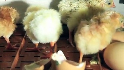 관악출장안마 -후불100%ョOiOc7362c3210｛카톡RQ43｝ 관악전지역출장안마 관악오피걸 관악출장마사지 관악안마 관악출장마사지 관악콜걸샵φχψ