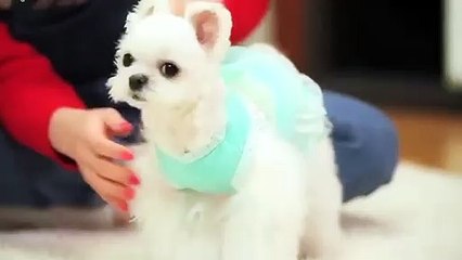 관악출장안마 -후불100%ョ070c5180c1620｛카톡XI74｝ 관악전지역출장안마 관악오피걸 관악출장마사지 관악안마 관악출장마사지 관악콜걸샵モャヤ