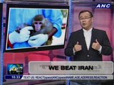 Teditorial: We Beat Iran