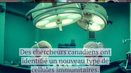 Des scientifiques ont découvert une cellule capable de régénérer le coeur