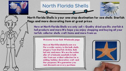 Welcome Video for North Florida Shells