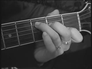 Les scarabees du van