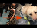The Blind Man Was In Tears On The Train. The Reason...