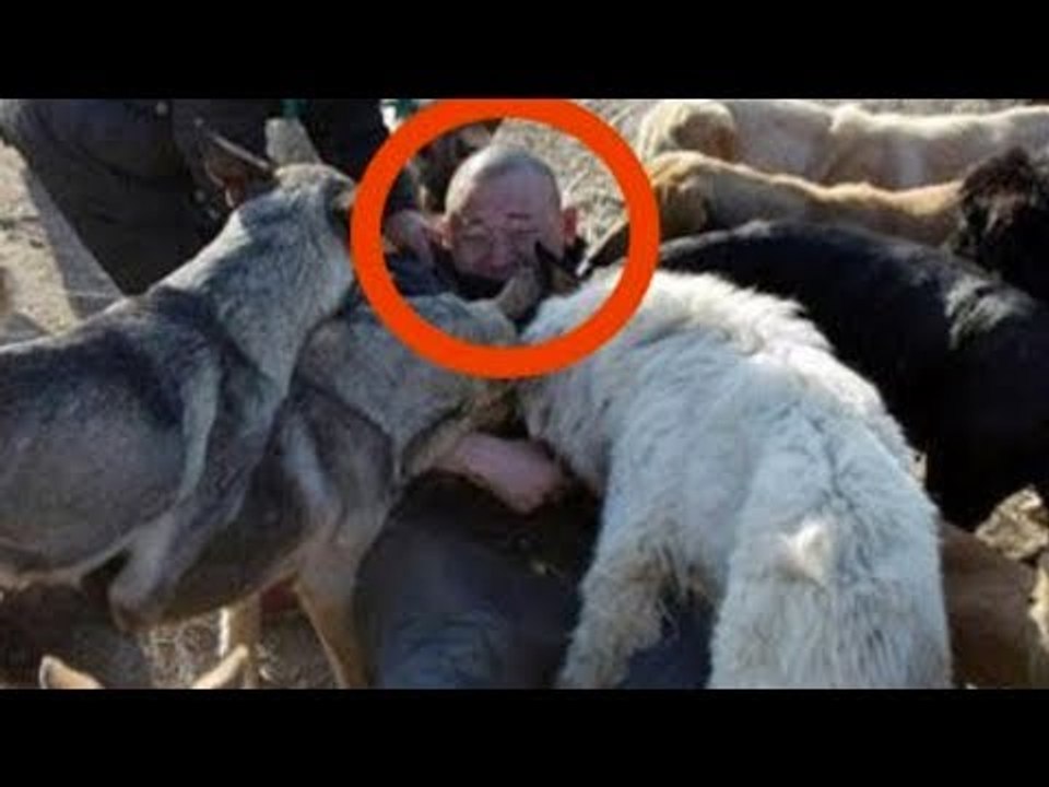 Man Goes Searching For His Beloved Dog In The Slaughterhouse. What He Finds There...