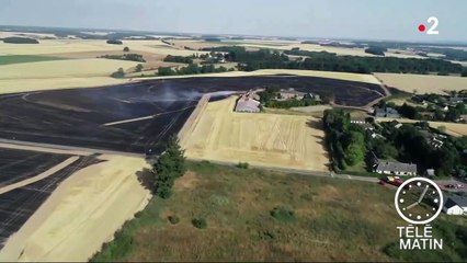 En Normandie, la canicule a provoqué des incendies dans les champs