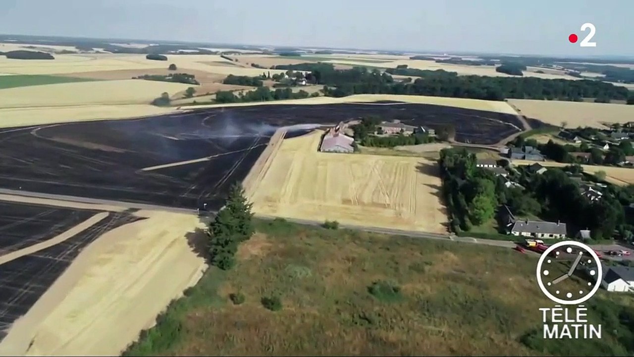En Normandie, la canicule a provoqué des incendies dans les champs