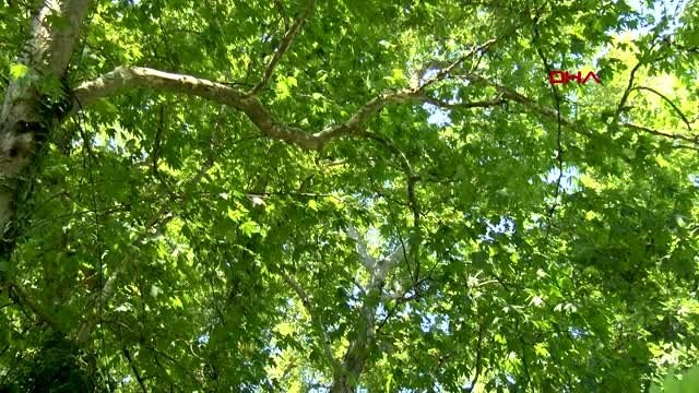 ANTALYA RUS TURİSTLERİN ŞELALE SUYUNDA ALABALIK AVI