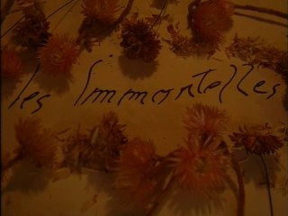 les immortelles