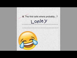 The funniest answers from kids in school tests