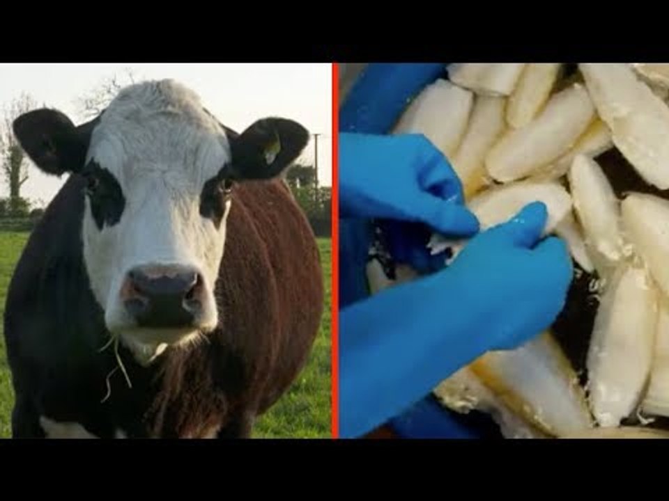 7 Vegan Things That Aren't Actually Vegan. No. 3...