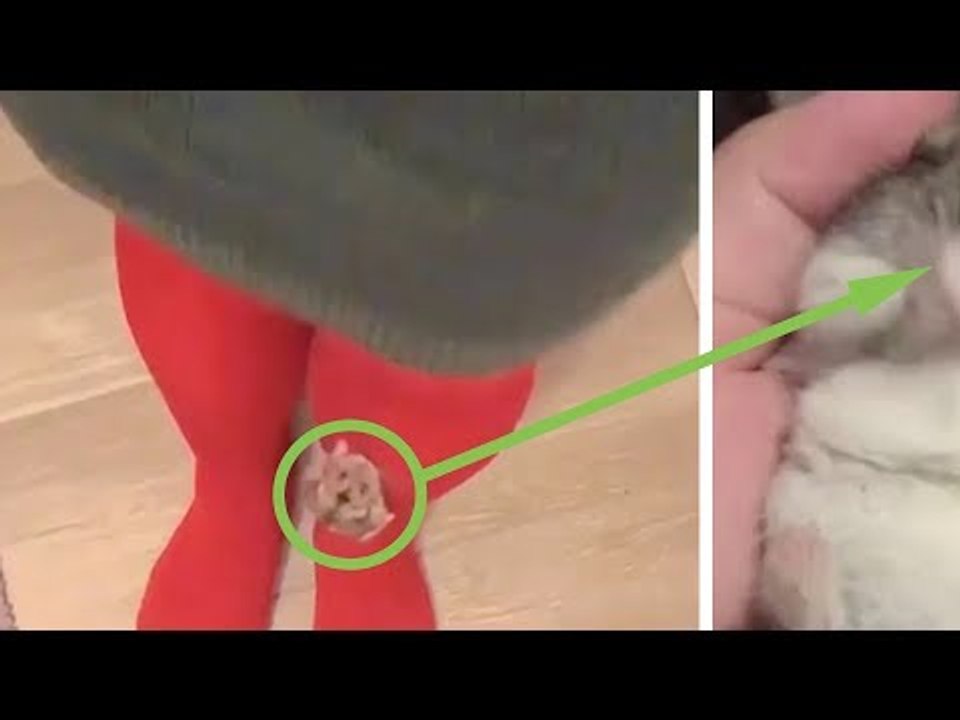 What This Woman Is Holding In Her Hand Will Instantly Steal Your Heart!