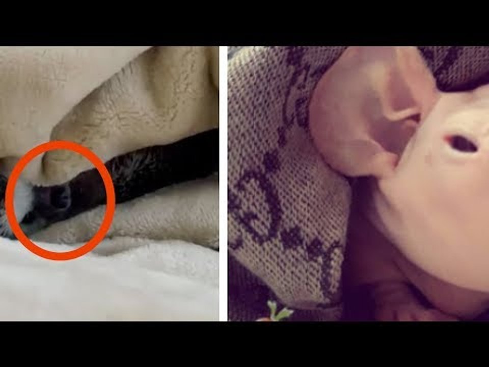 These Photos Are Harmless, But How They Affect Your Bo...