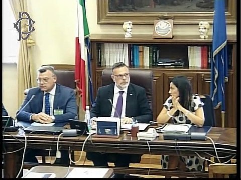 Roma - Audizioni su associazioni professionali (24.07.19)