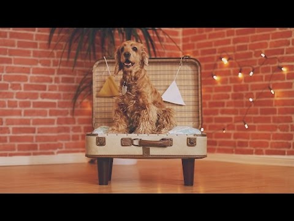 Un lit pour bêtes à poils fabriqué avec une vie...