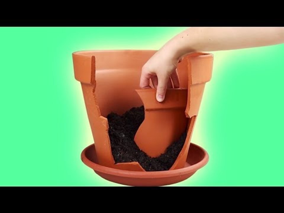 Transformez un pot de fleurs cassé en un jardin féérique