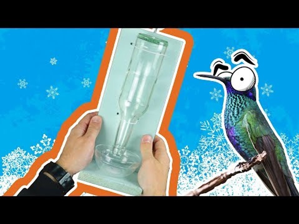 Créer une mangeoire pour oiseaux avec une bouteille de Coca en verre.