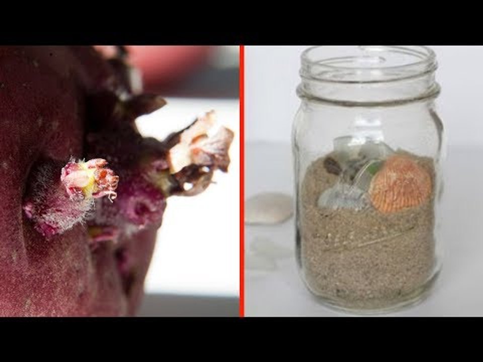 10 souvenirs de vacances interdits