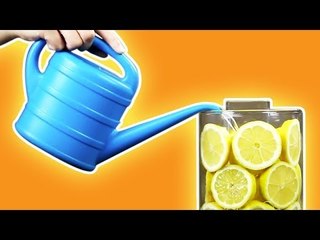 Three ingenious ideas for arranging flowers