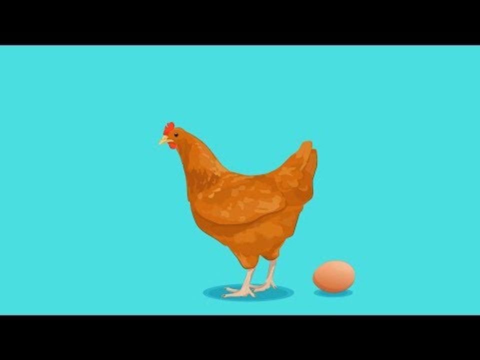 Nine good reasons for eating two eggs a day