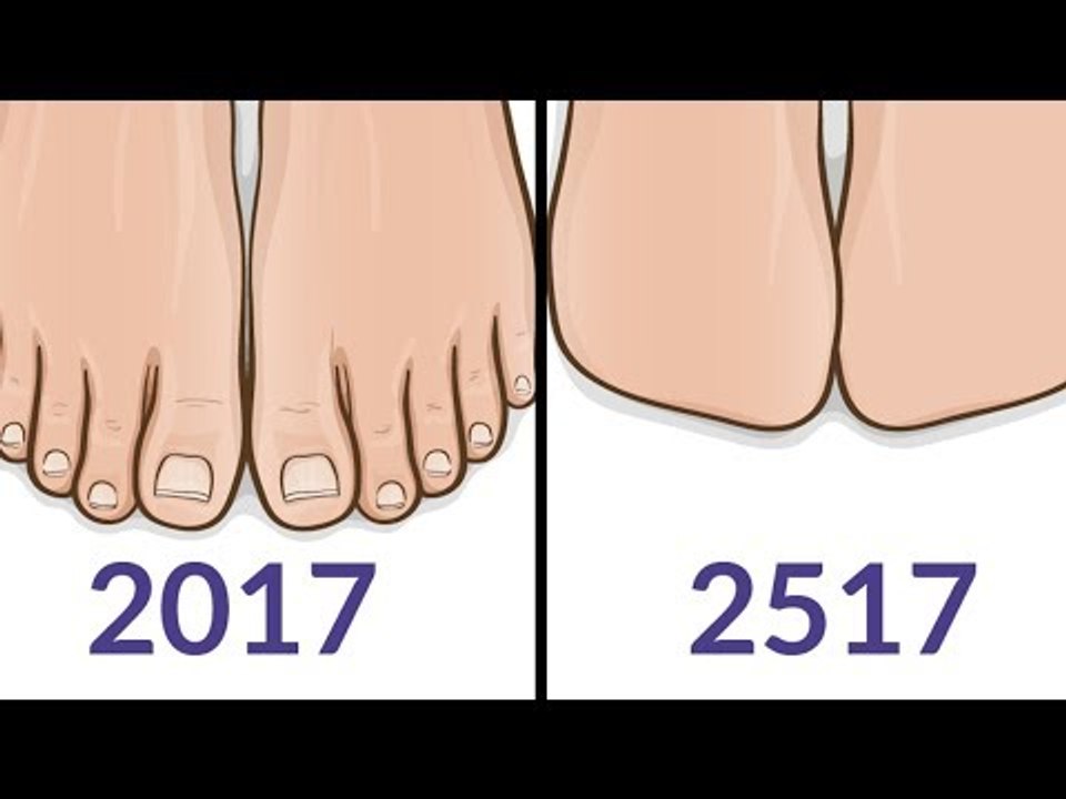 9 Body Parts That Won't Exist In 500 Years