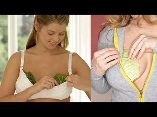 Put Cabbage In Your Bra For 20 Minutes. The Reason?