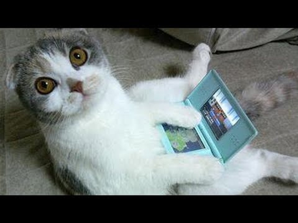 9 Reasons Why Video Games Are Good For Us! #5...