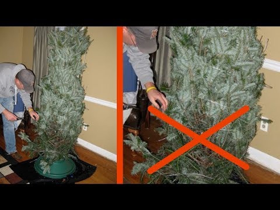 These 9 Christmas Trees Certainly Won't Be Losing...