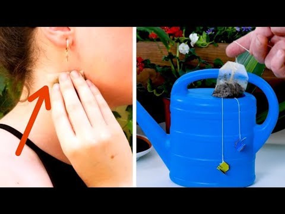 Never Throw Away Old Tea Bags! They Are A Great Help Around The House!