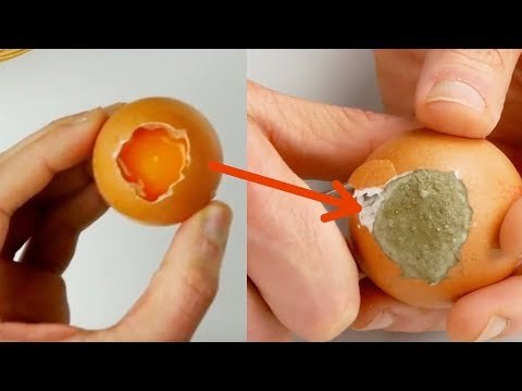 The Egg Looks Normal At First, But What Happens After 1 Day Is Awesome!