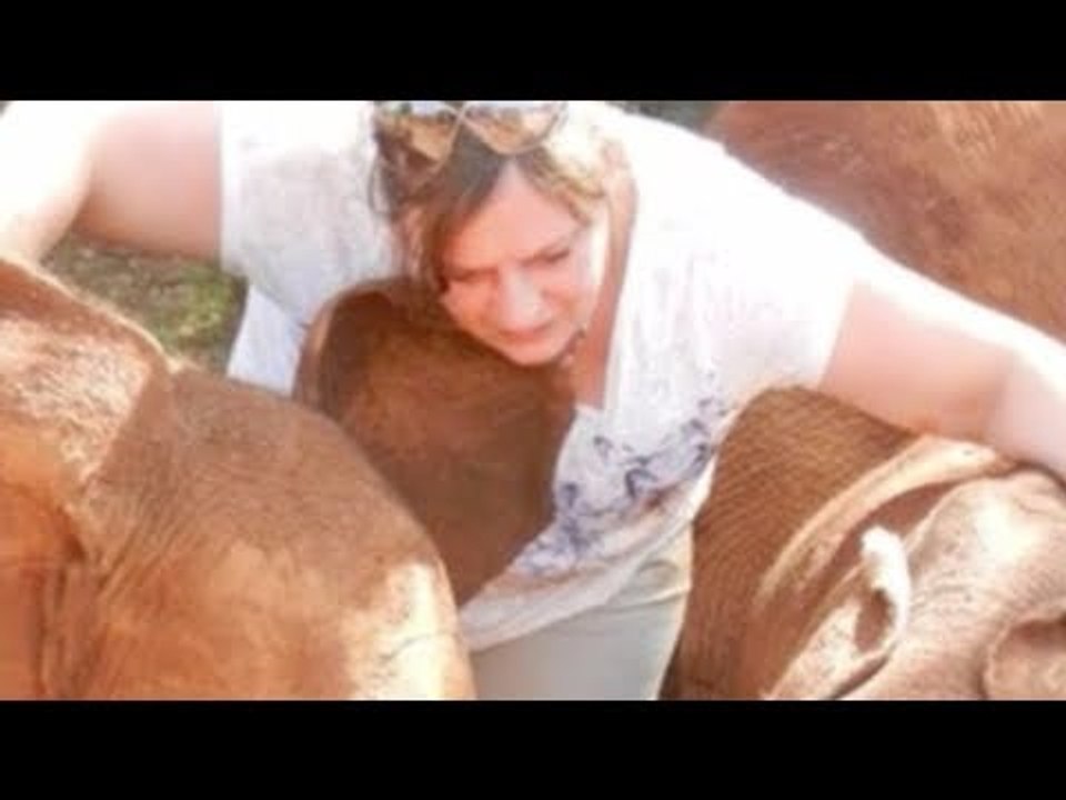 A mulher vê o que acontece com os elefantes. O que ela faz então…