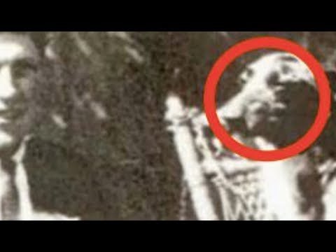 Os 8 animais que vivem mais tempo. O nº 3…