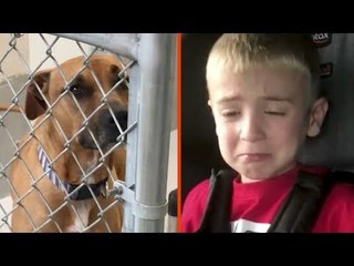 O menino de 4 anos faz um pedido à sua mãe. O coração dela…