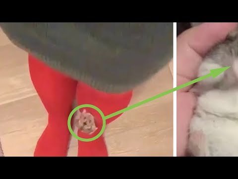 O que esta mulher tem na mão irá conquistar seu coração em segundos.